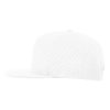 112287_d_fl Richardson 169 - Cannon Cap