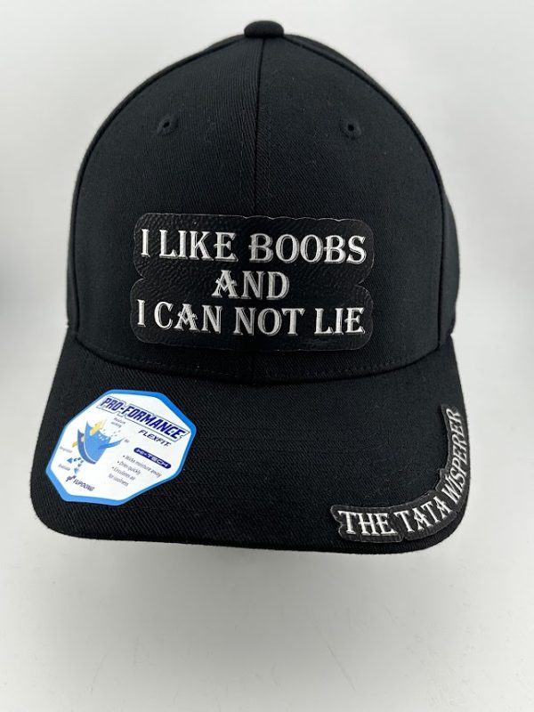 I Like Boobs and I Can Not Lie Hat