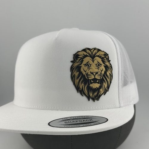 IMG_3808 Lion Head Hat