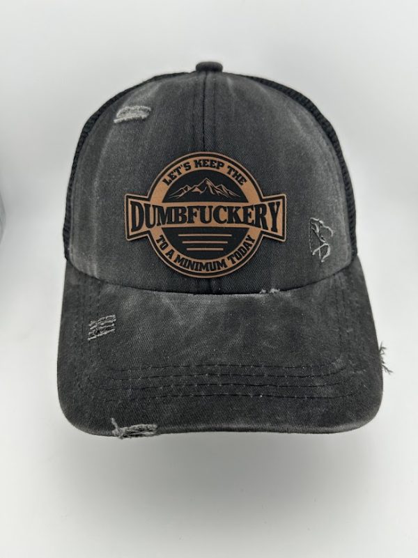Let's Keep the Dumbfery to a Minimum Today Hat