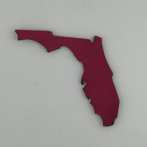 Florida Solid State Cutout Hat